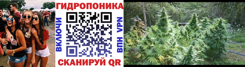 маркетплейс телеграм  Пролетарск  МАРИХУАНА планчик  OMG как войти 
